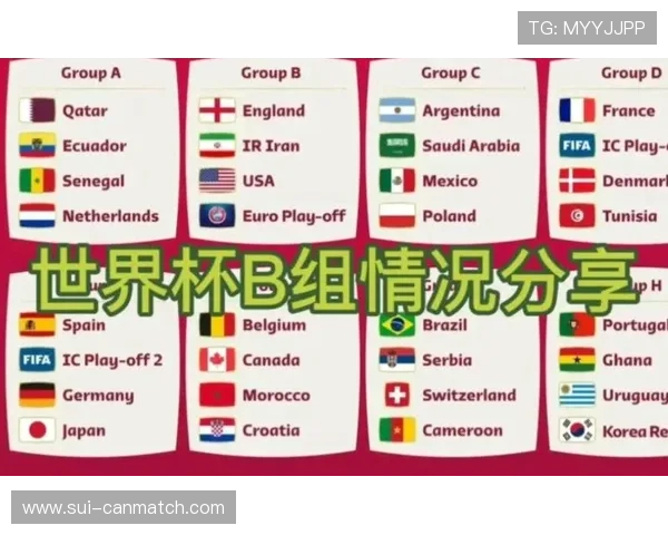 2026年世界杯埃及对阵伊朗比赛中控球战术分析与战术布局详解
